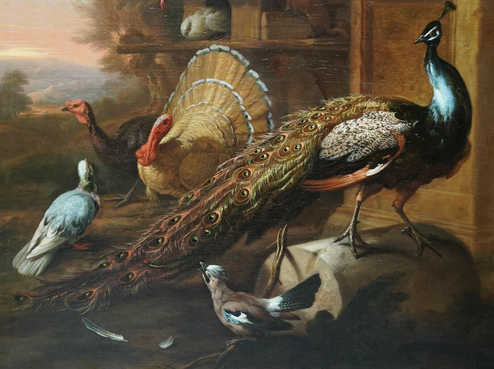 This stunning British Old Master oil painting is attributed to circle of noted bird painter Marmaduke Cradock. Painted circa 1690 it is an excellent example and the sort of collection of birds he loved to paint - a peacock, wild turkeys, a jay in