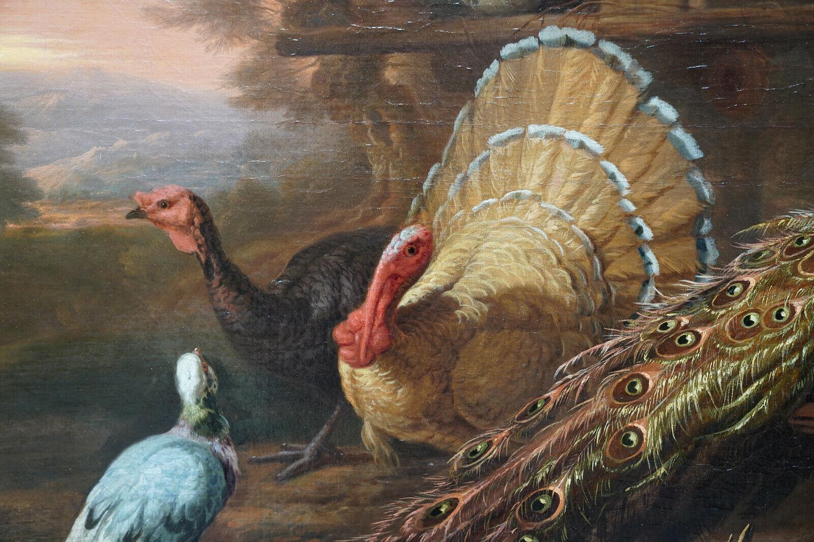 Pavo real y pájaros en un paisaje - Pintura al óleo sobre animales del Viejo Maestro británico del siglo XVII - Painting Antiguos maestros de Marmaduke Cradock