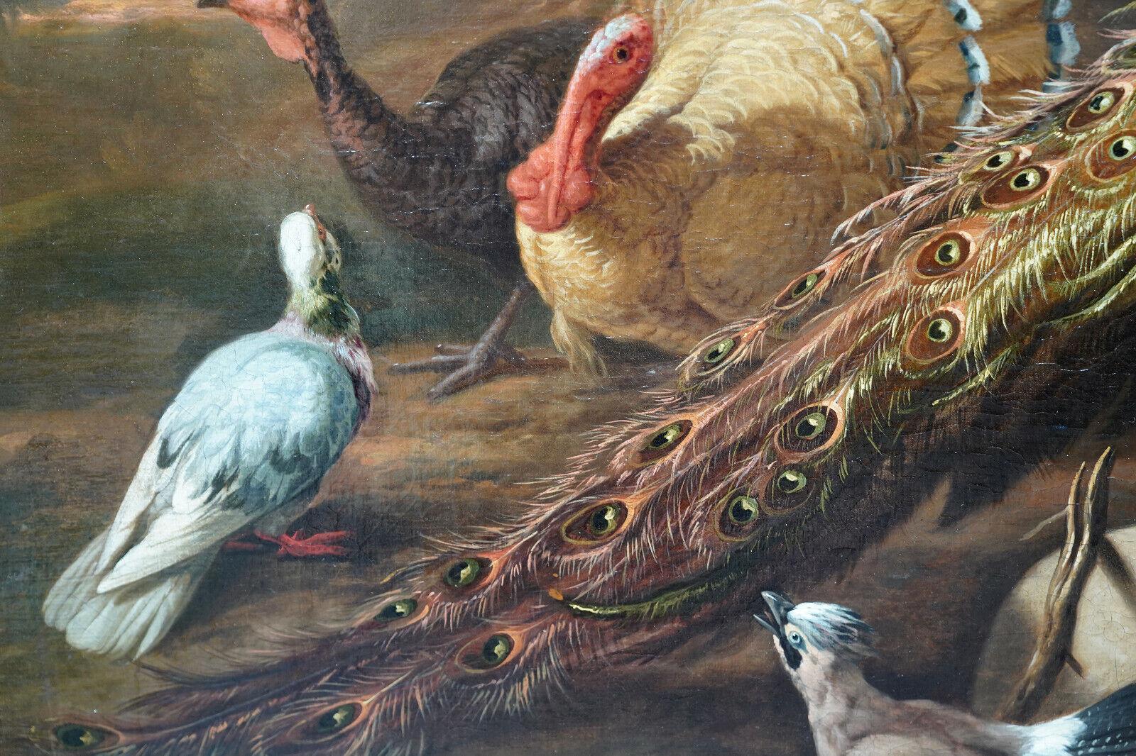 Este impresionante óleo del Viejo Maestro británico se atribuye al círculo del célebre pintor de aves Marmaduke Cradock. Pintado hacia 1690, es un excelente ejemplo y el tipo de colección de aves que le gustaba pintar: un pavo real, pavos salvajes,