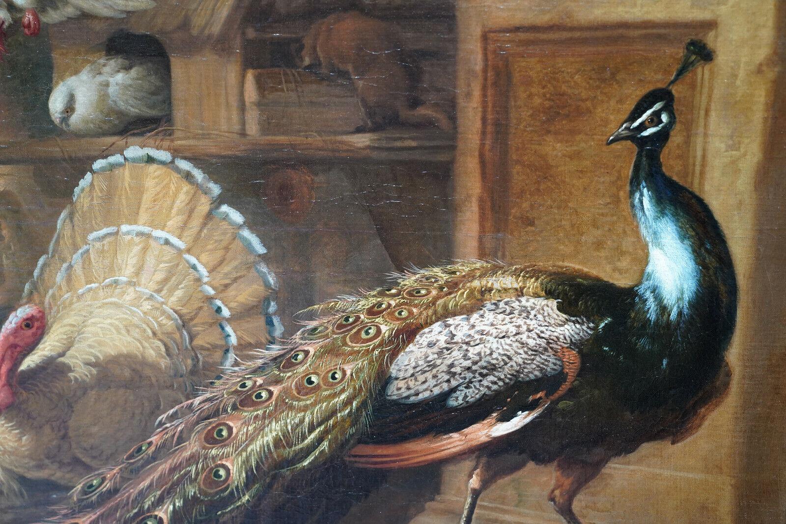 Pavo real y pájaros en un paisaje - Pintura al óleo sobre animales del Viejo Maestro británico del siglo XVII en venta 1