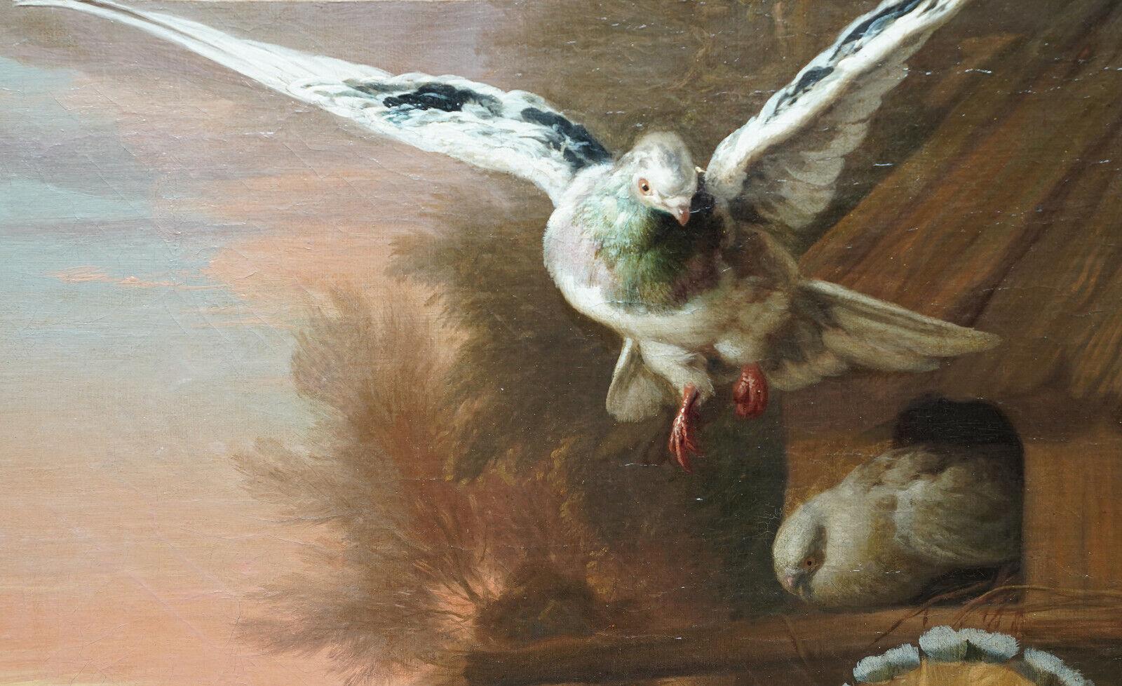 Pavo real y pájaros en un paisaje - Pintura al óleo sobre animales del Viejo Maestro británico del siglo XVII en venta 2