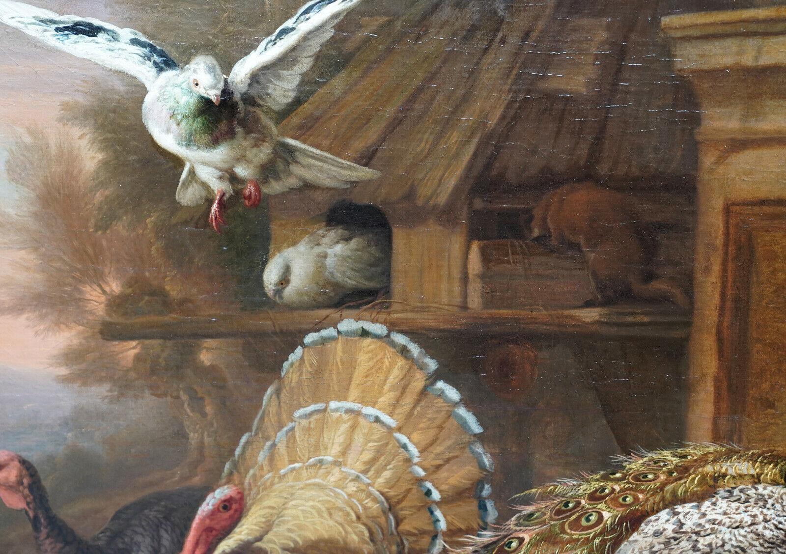 Pavo real y pájaros en un paisaje - Pintura al óleo sobre animales del Viejo Maestro británico del siglo XVII en venta 3