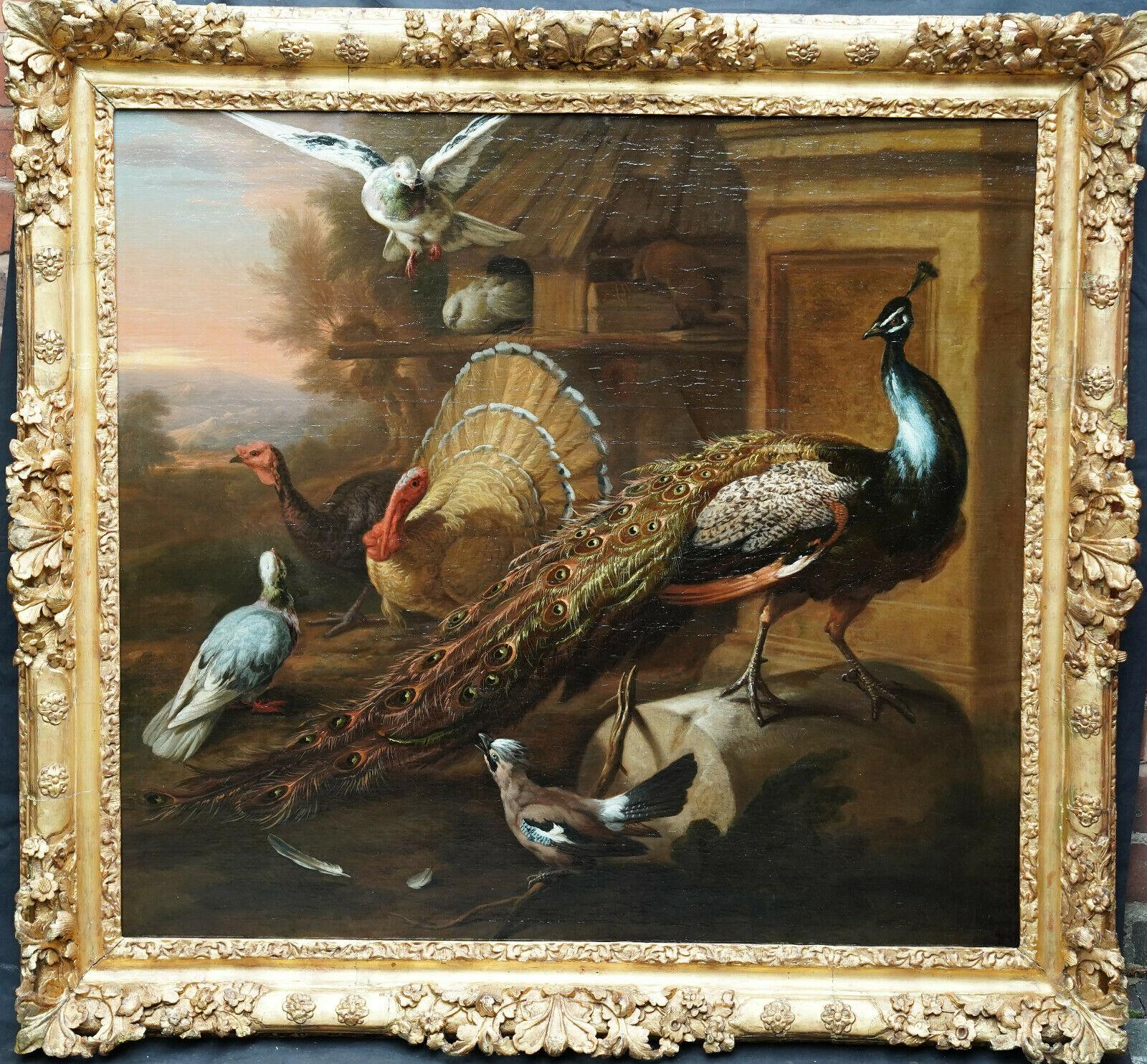 Animal Painting de Marmaduke Cradock - Pavo real y pájaros en un paisaje - Pintura al óleo sobre animales del Viejo Maestro británico del siglo XVII
