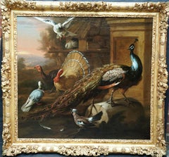 Pavo real y pájaros en un paisaje - Pintura al óleo sobre animales del Viejo Maestro británico del siglo XVII