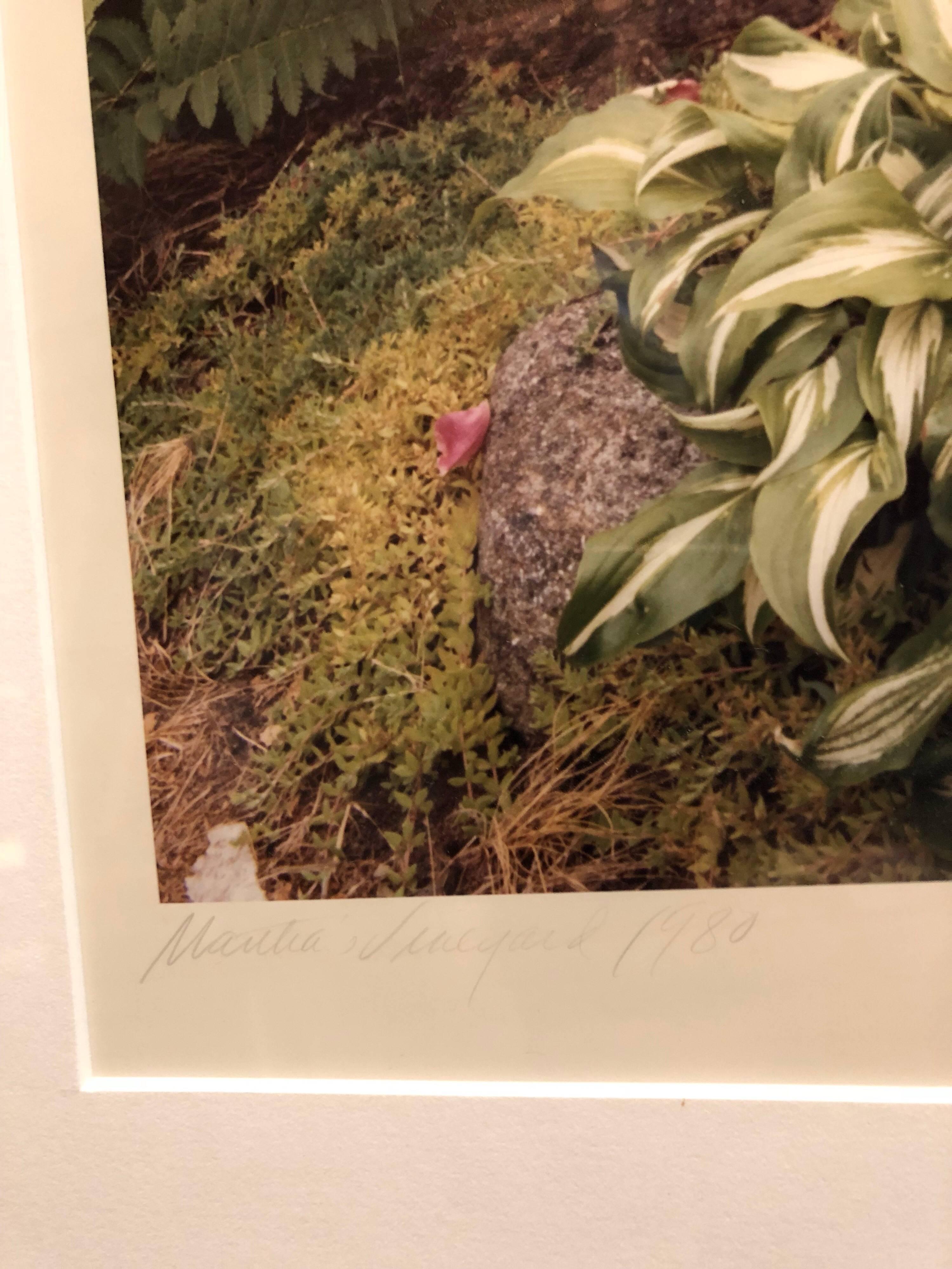 Martha's Vineyard Vintage, signierte Farb-C-Druck-Fotografie (Schwarz), Landscape Photograph, von Marna Clarke