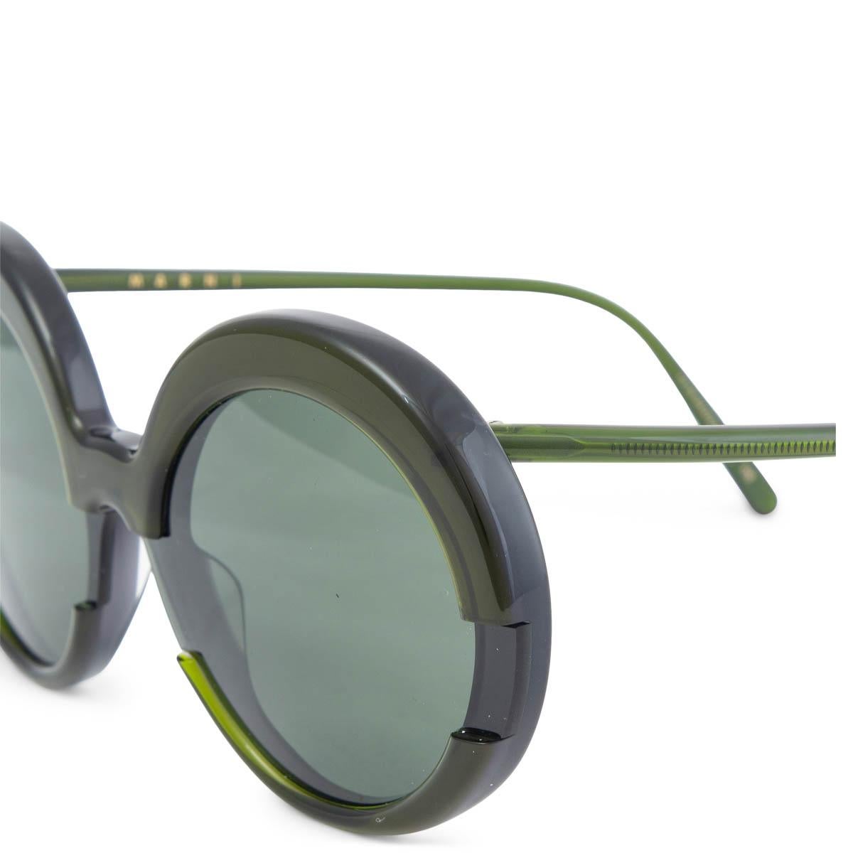 forest green glasses frames