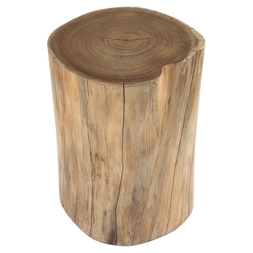 Marrow Carved Solid Wooden Stump by Kunaal Kyhaan For Sale