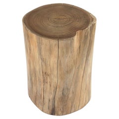Marrow Carved Solid Wooden Stump by Kunaal Kyhaan