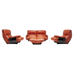 Ensemble de canapés Marsala par Michel Ducaroy pour Ligne Roset, 1970