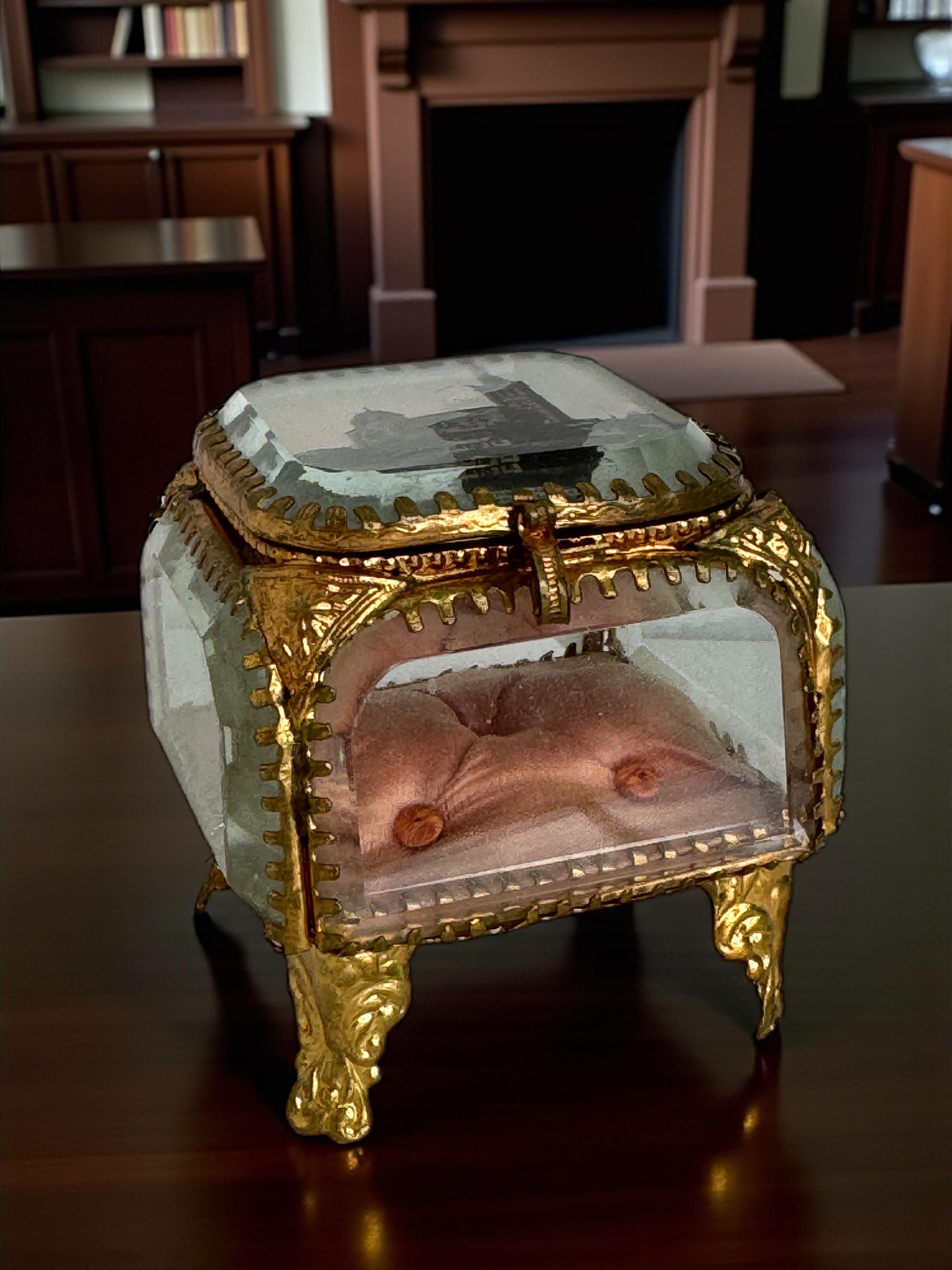 Marseille Antique French Grand Tour Souvenir Casket, Beveled Glass & Eglomise en vente 2