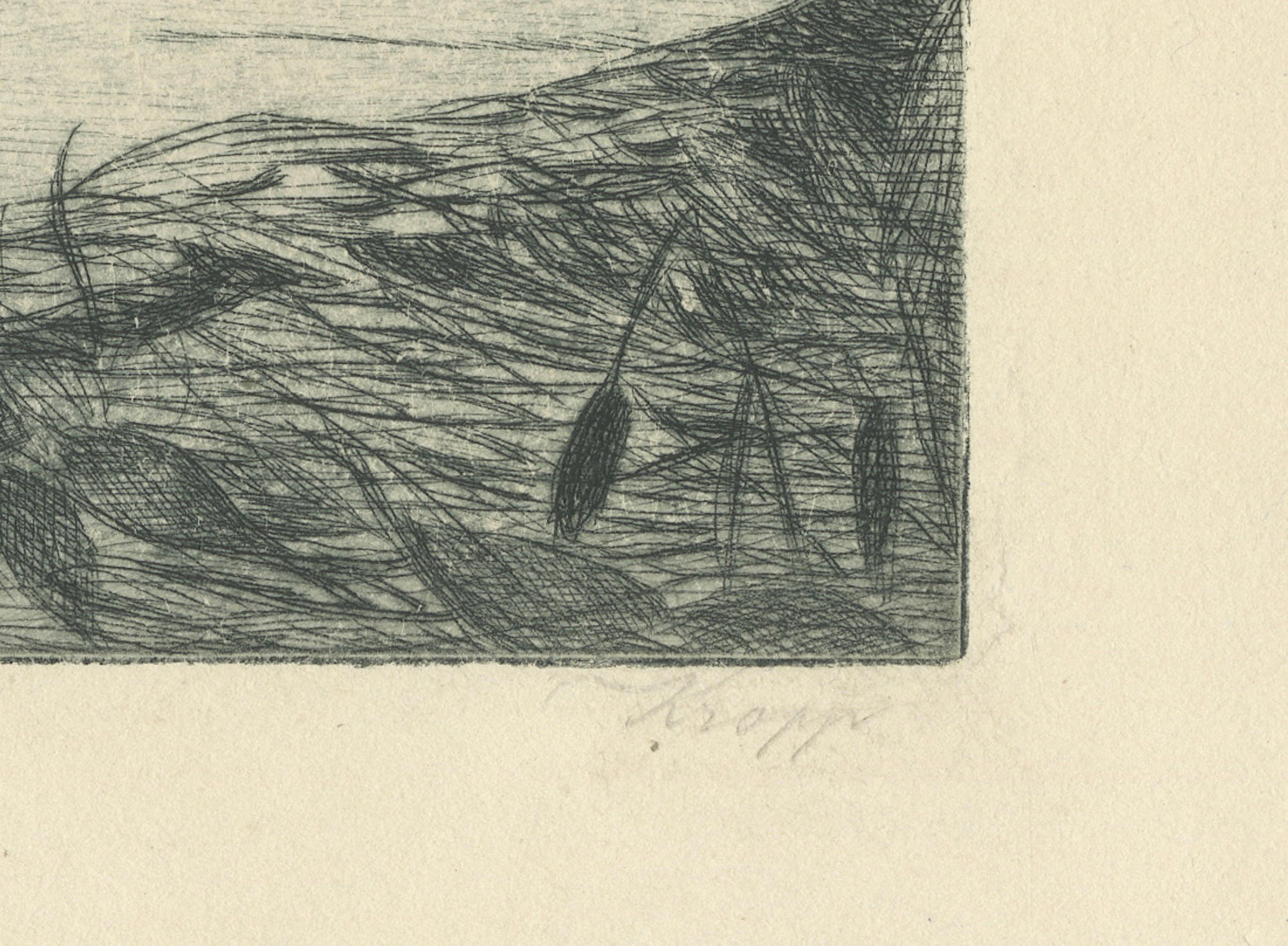 Marsh Landscape with Swans – Atmospheric German Etching, c.1910