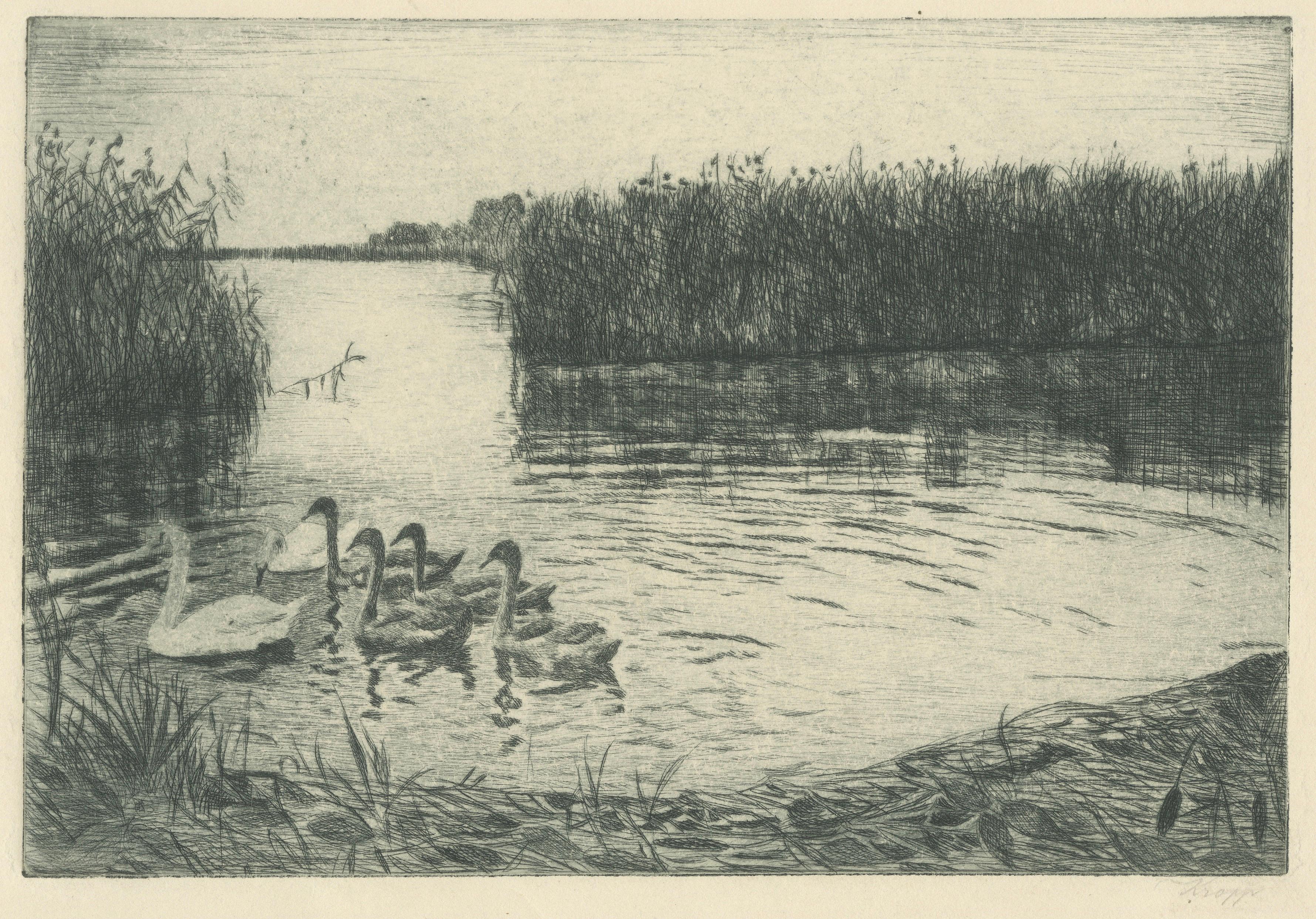 Marsh Landscape with Swans – Atmospheric German Etching, c.1910