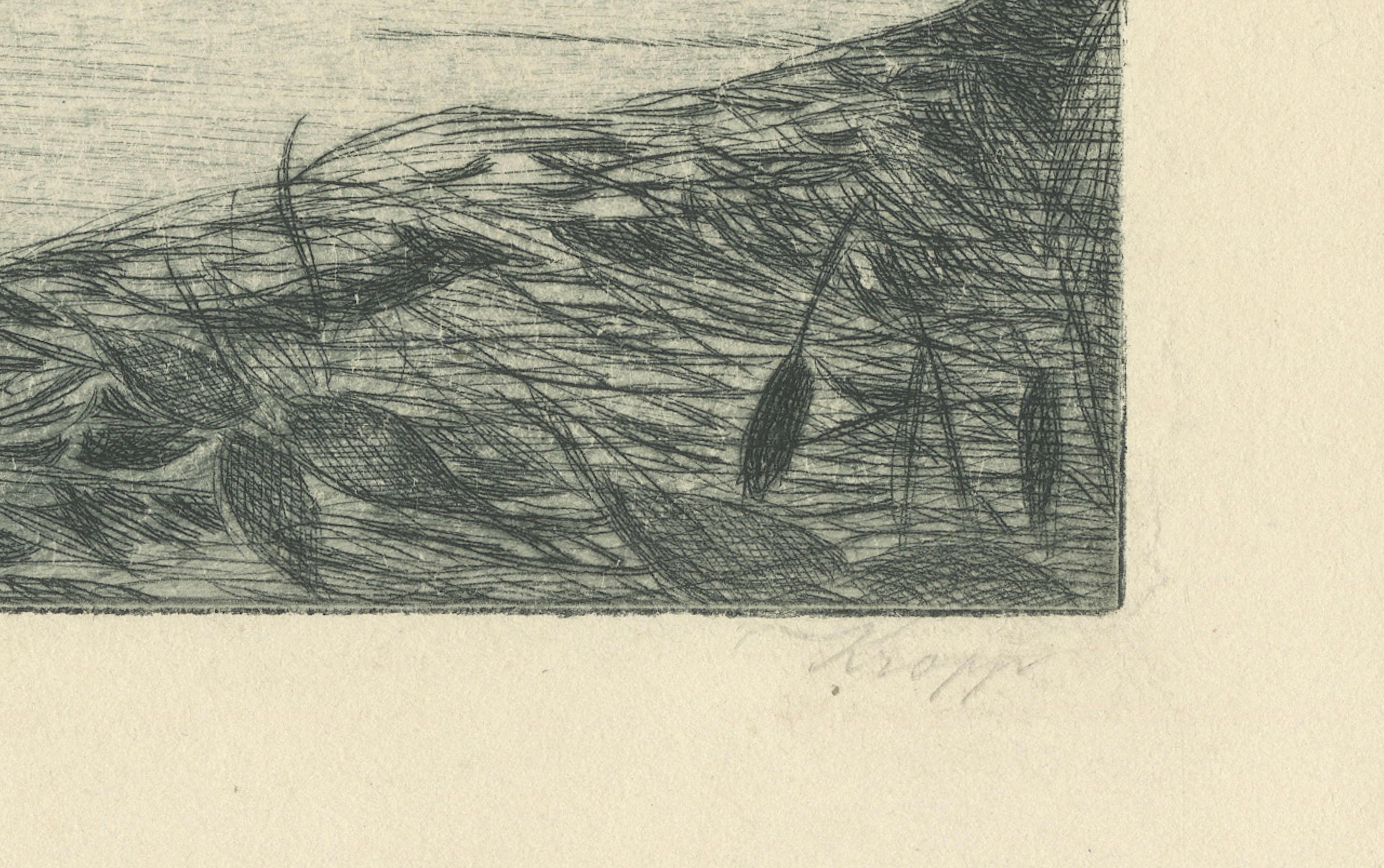 Marsh Landscape with Swans – Atmospheric German Etching, c.1910