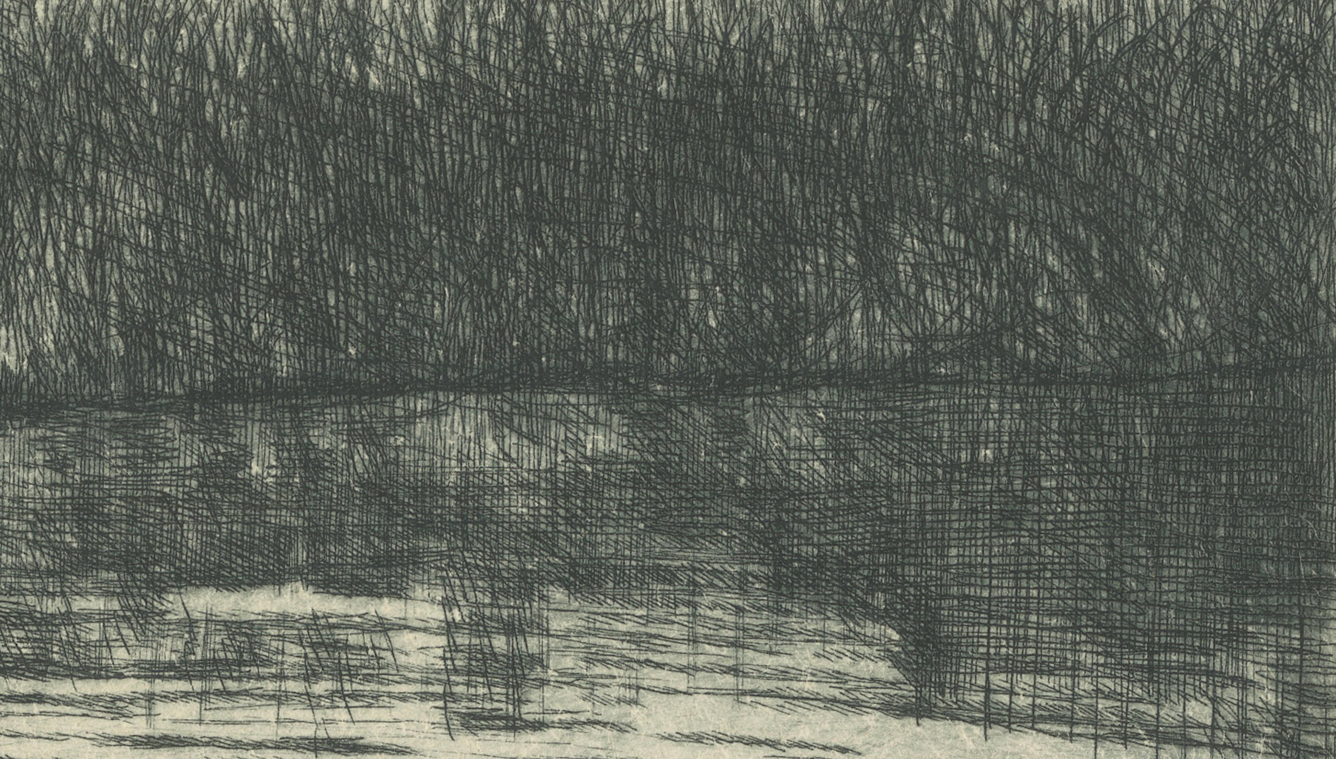 Marsh Landscape with Swans – Atmospheric German Etching, c.1910