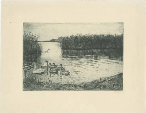 Marsh Landscape with Swans – Atmospheric German Etching, c.1910