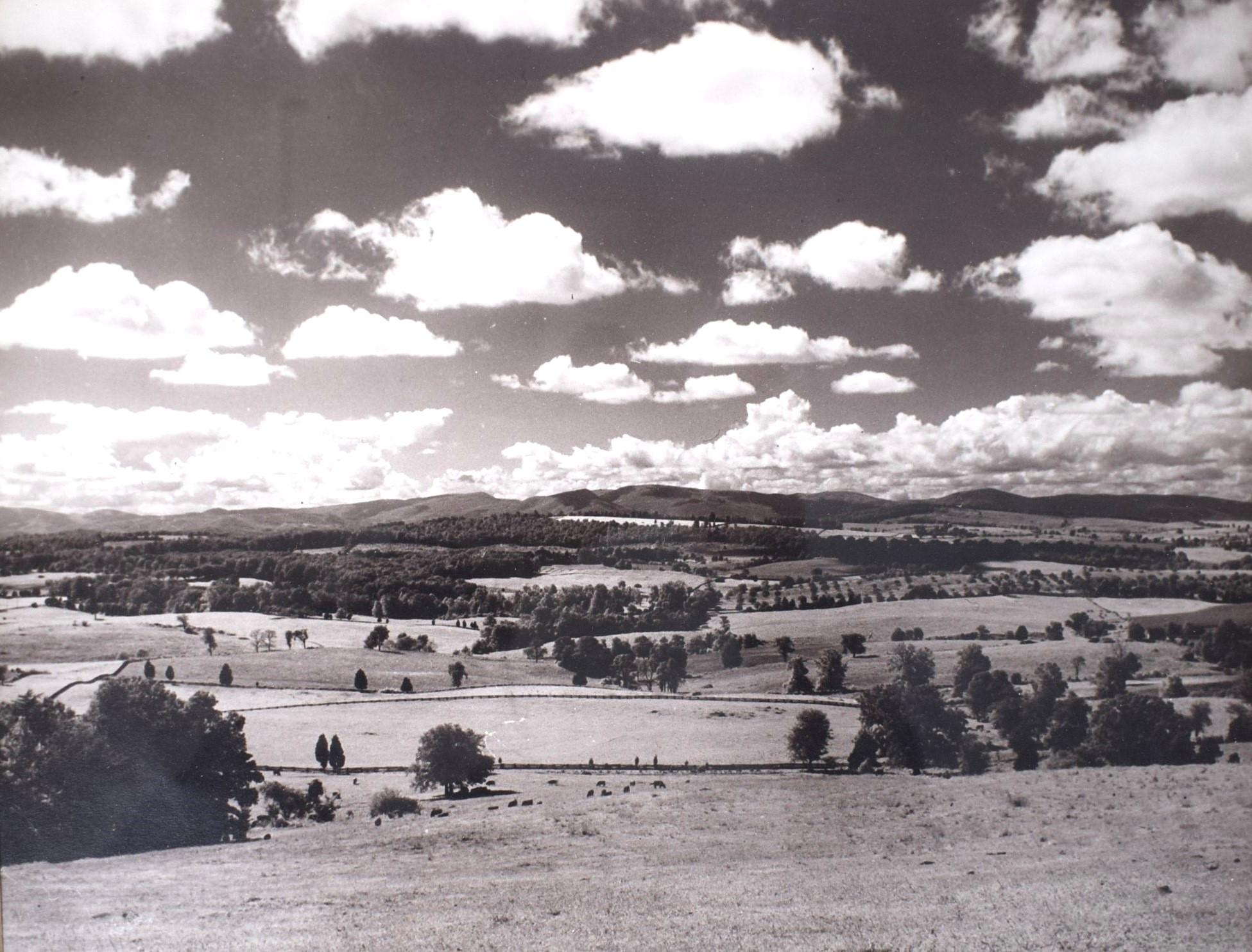 „Lees Ridge Warrenton, Virginia“, B&W-Foto von Marshall Hawkins 1