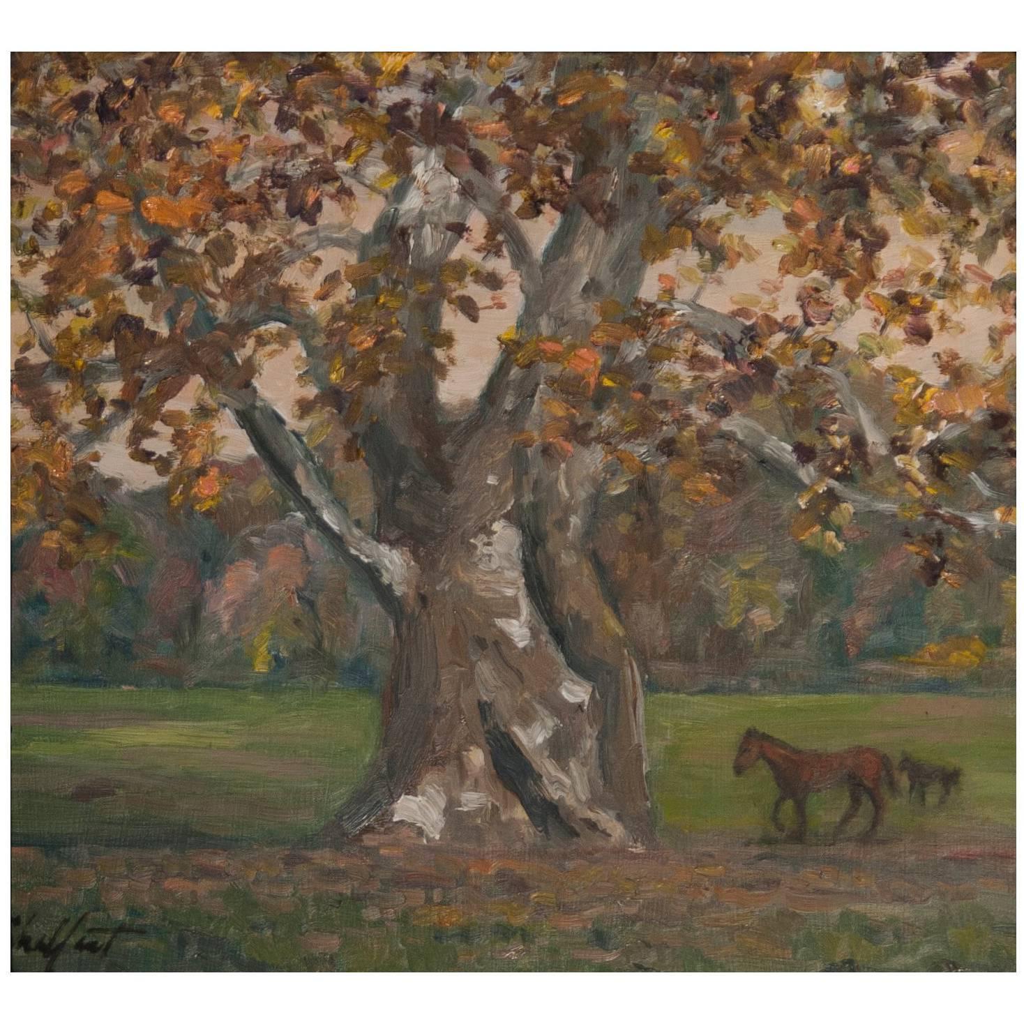 "Marshall Sycamore" Painting by Richard Chalfant
