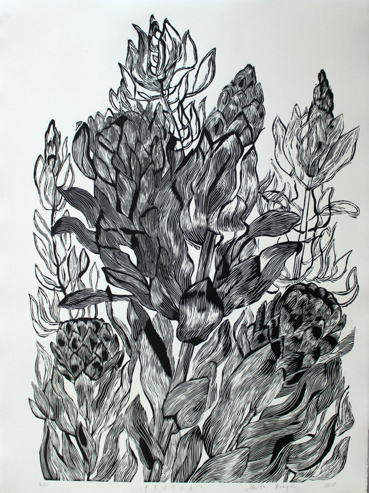Marta Bozyk (1973). Licenciado en Gráfica por la Academia de Bellas Artes de Cracovia. Recibió un diploma con la Medalla del Rector de la Academia de Bellas Artes en 1998. Ganador de la Beca de la Ciudad Creativa de Cracovia (2000) y de la ciudad de