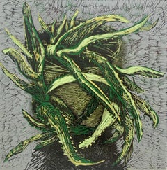 Aloe. Contemporary Figurative Limited Edition Linocut Still life, Polish artist
