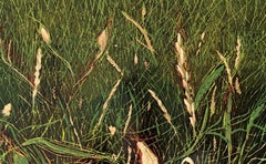 Wood 4 - Linogravure contemporaine, Flore, Nature, Art polonais, ist Young art