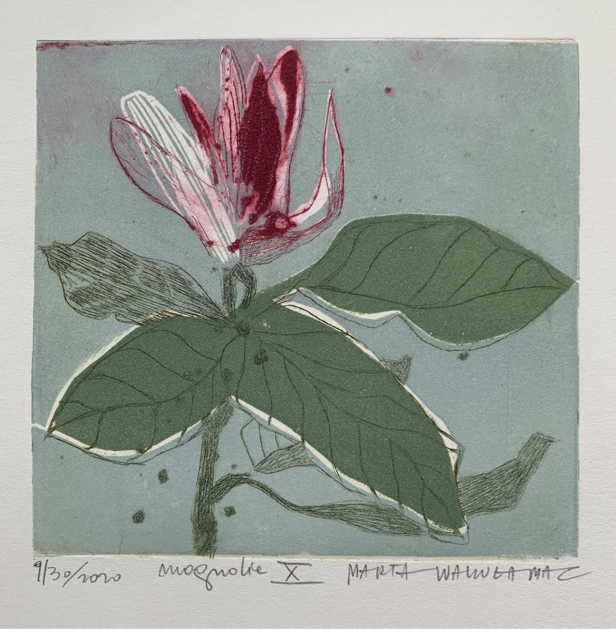 Magnolia 10 - Impression figurative contemporaine à la pointe sèche, fleur, florale - Contemporain Print par Marta Wakula-Mac