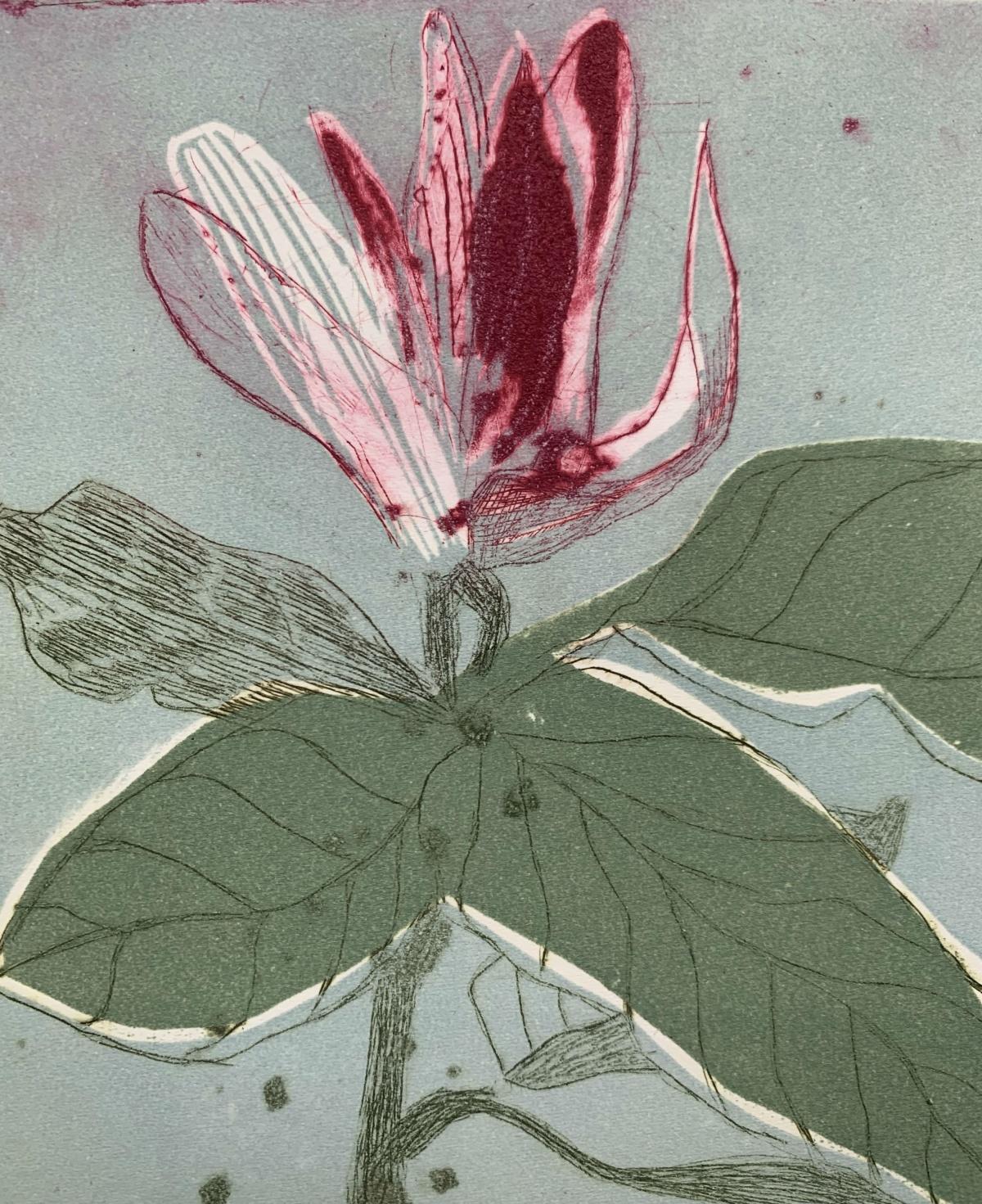 Magnolia 10 - Impression figurative contemporaine à la pointe sèche, fleur, florale - Gris Still-Life Print par Marta Wakula-Mac