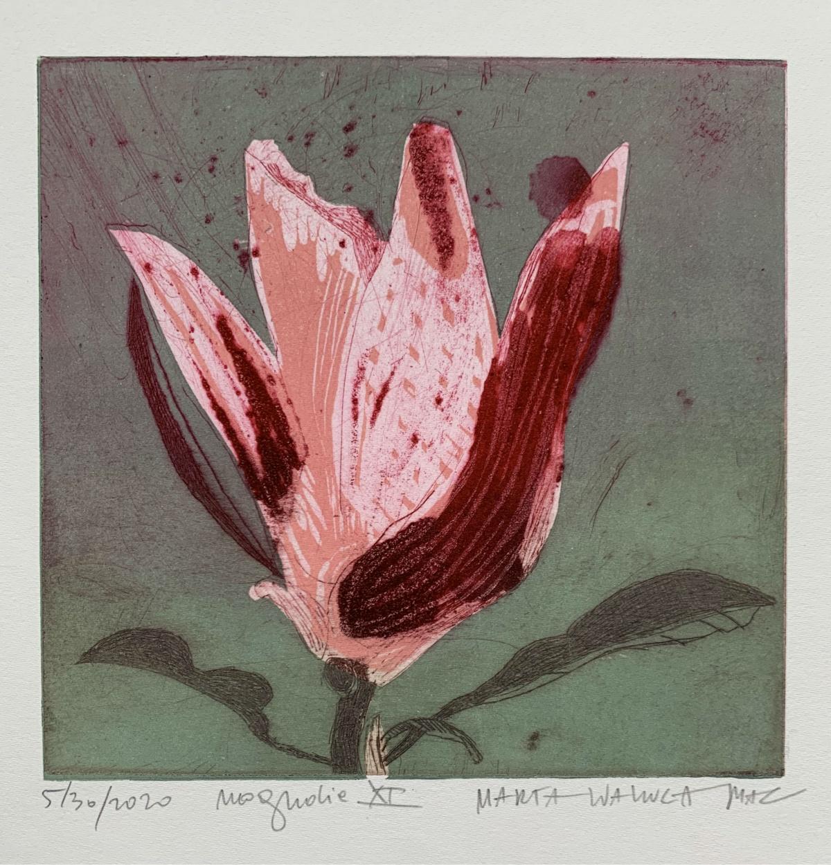 Zeitgenössischer figurativer Drypoint-Radierungsdruck „Magnolia 11“ mit Blumenmuster (Grau), Figurative Print, von Marta Wakula-Mac