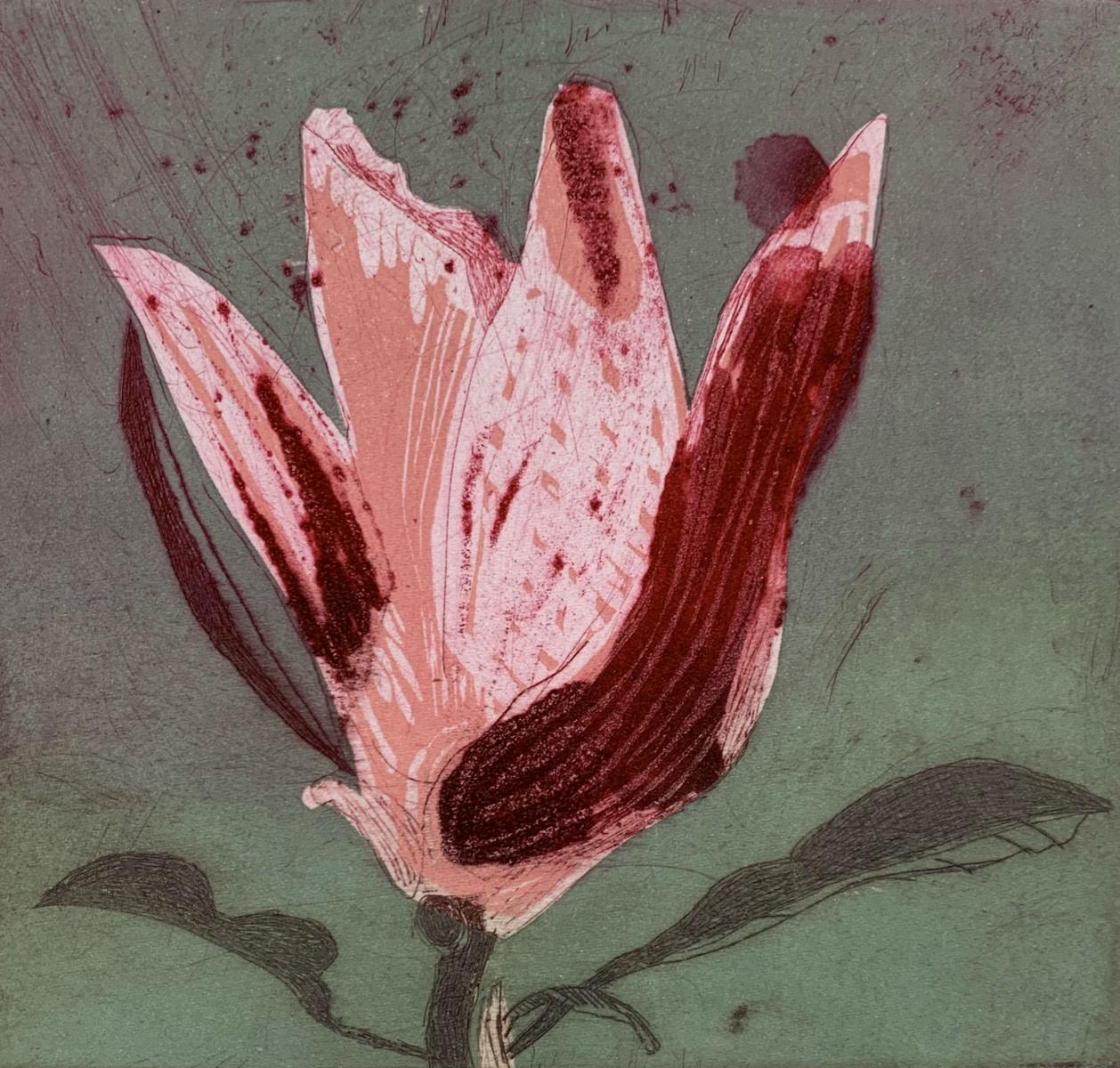 Magnolia 11 - Contemporary Figurative Drypoint Etching Print, Flower, Floral