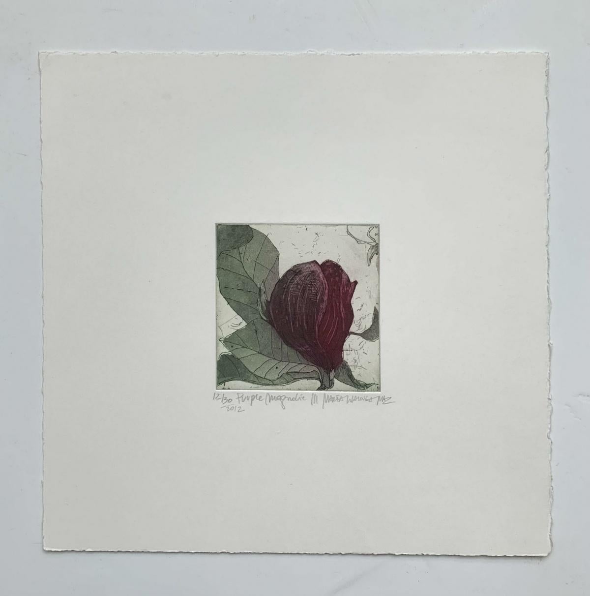 Zeitgenössische lila Magnolie 3 - zeitgenössische figurative Kaltnadelradierung Druck Blume Floral – Print von Marta Wakula-Mac