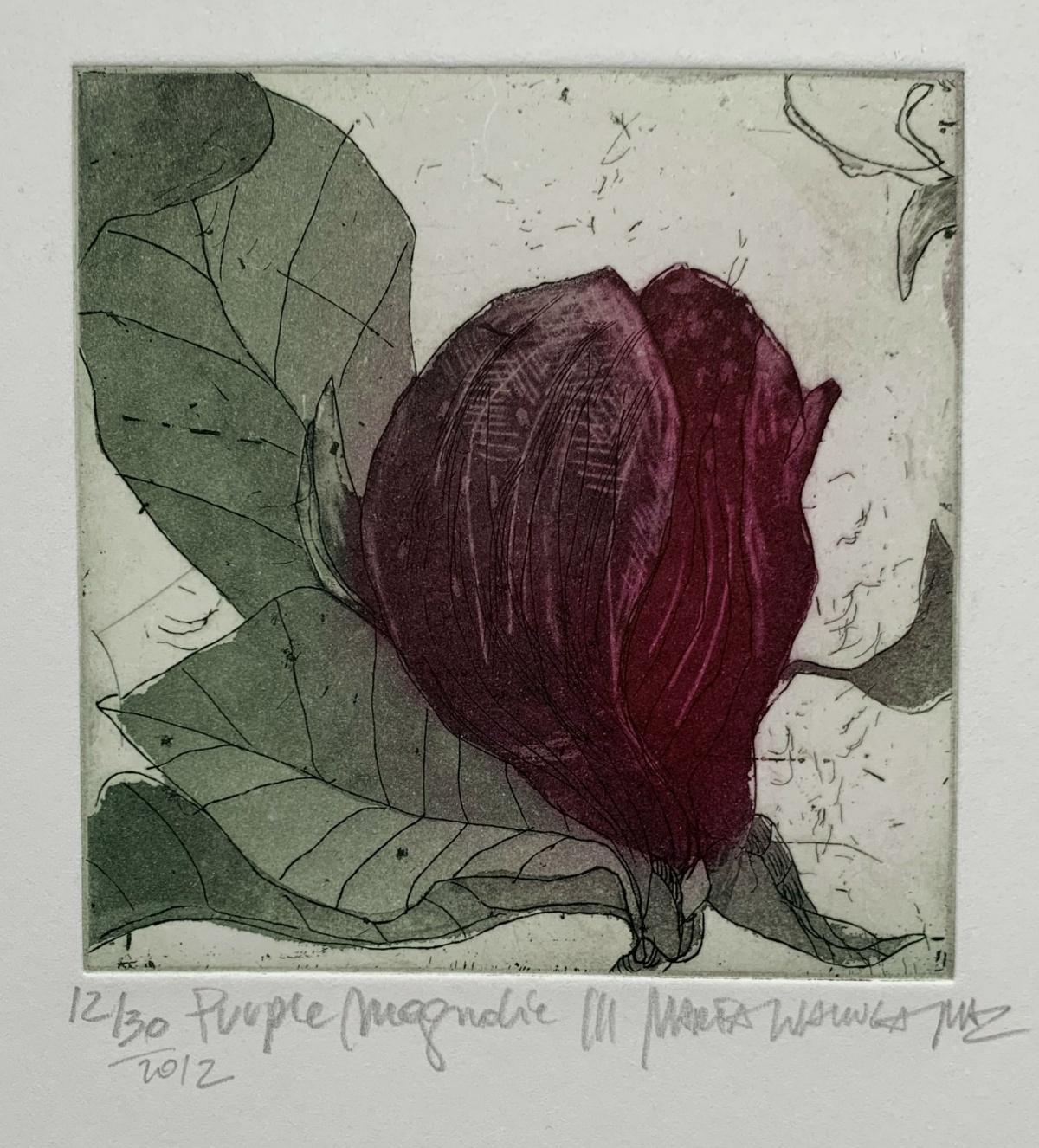 Zeitgenössische lila Magnolie 3 - zeitgenössische figurative Kaltnadelradierung Druck Blume Floral (Schwarz), Figurative Print, von Marta Wakula-Mac