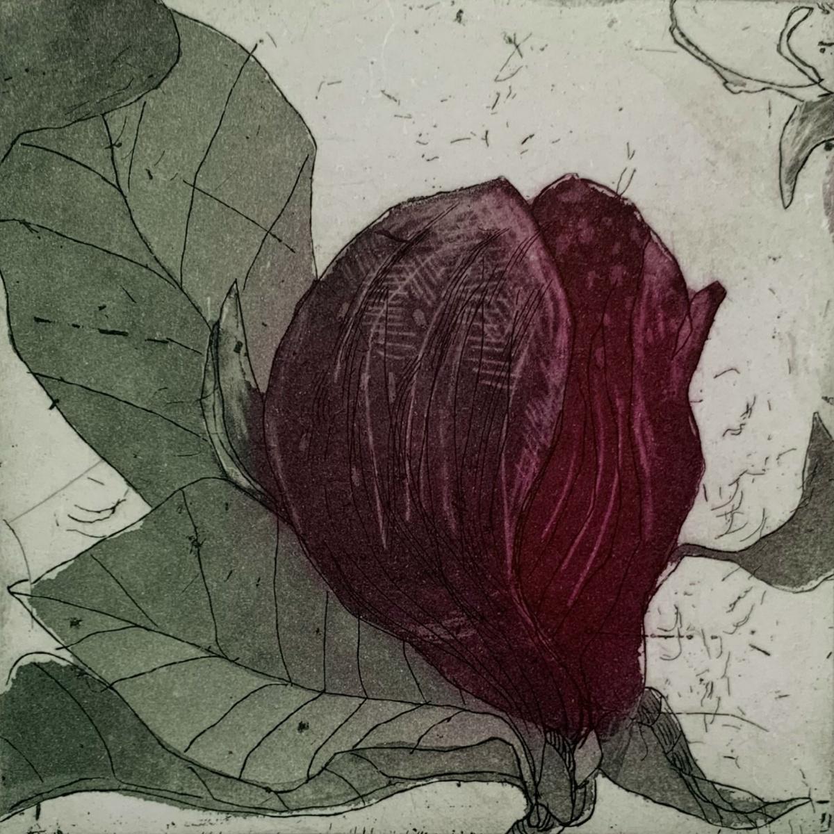 Magnolia viola 3 - Stampa contemporanea in acquaforte figurata a puntasecca Fiore floreale