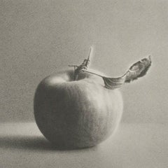 Martha Alf "Apple" Still Life Lithograph Print Limited Edition of 250 Signed
