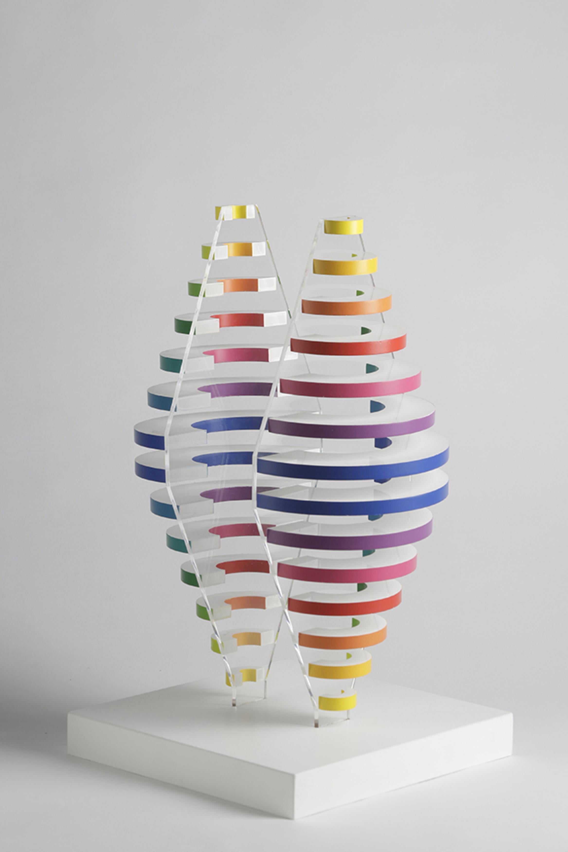 2 Demi cones avec anneaux de couleurs - Sculpture by Martha Boto