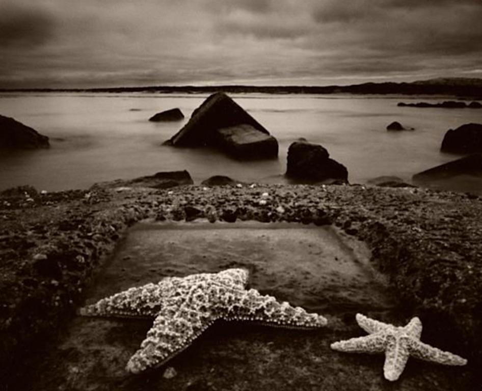Martha Casanave Black and White Photograph - Coastal Pinhole. No. 14, 2000