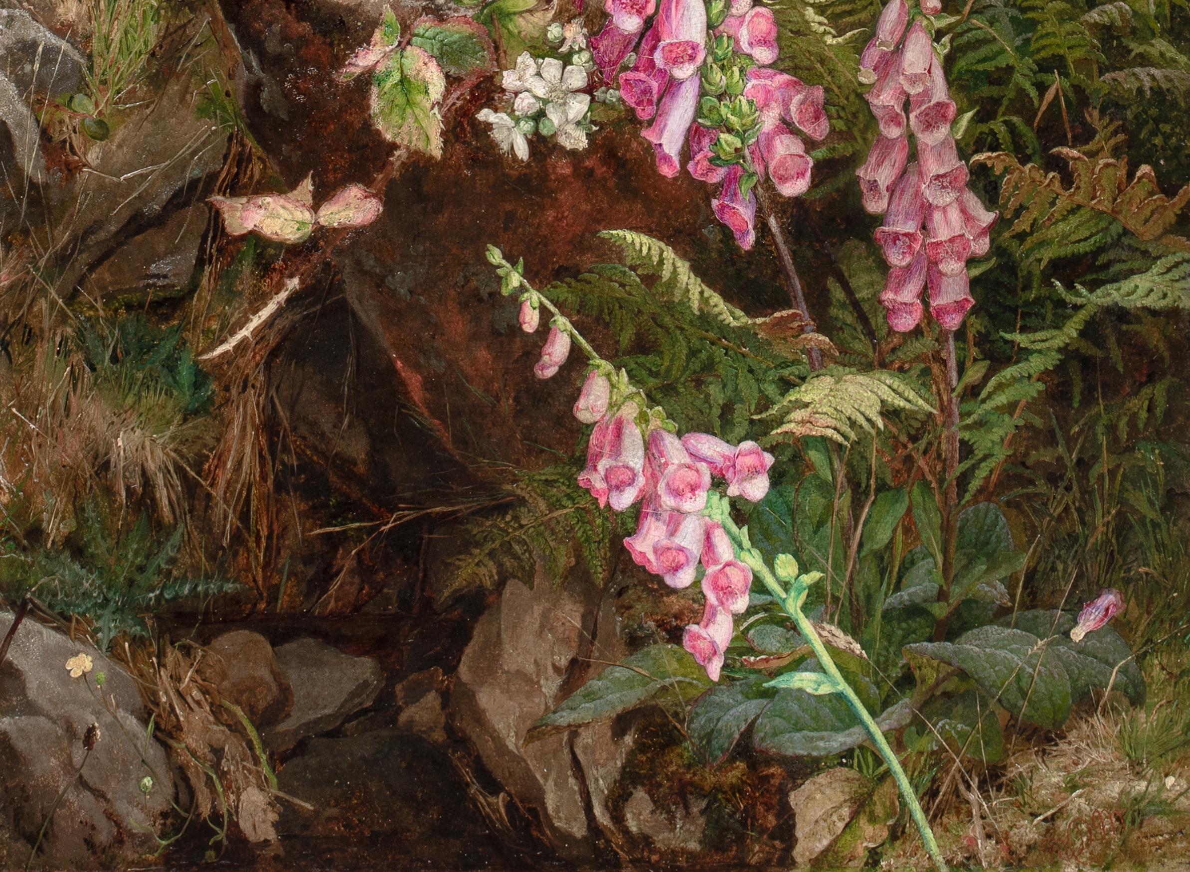 Nature morte à la digitale et aux fougères 19e siècle par MARTHA DARLEY MUTRIE en vente 6