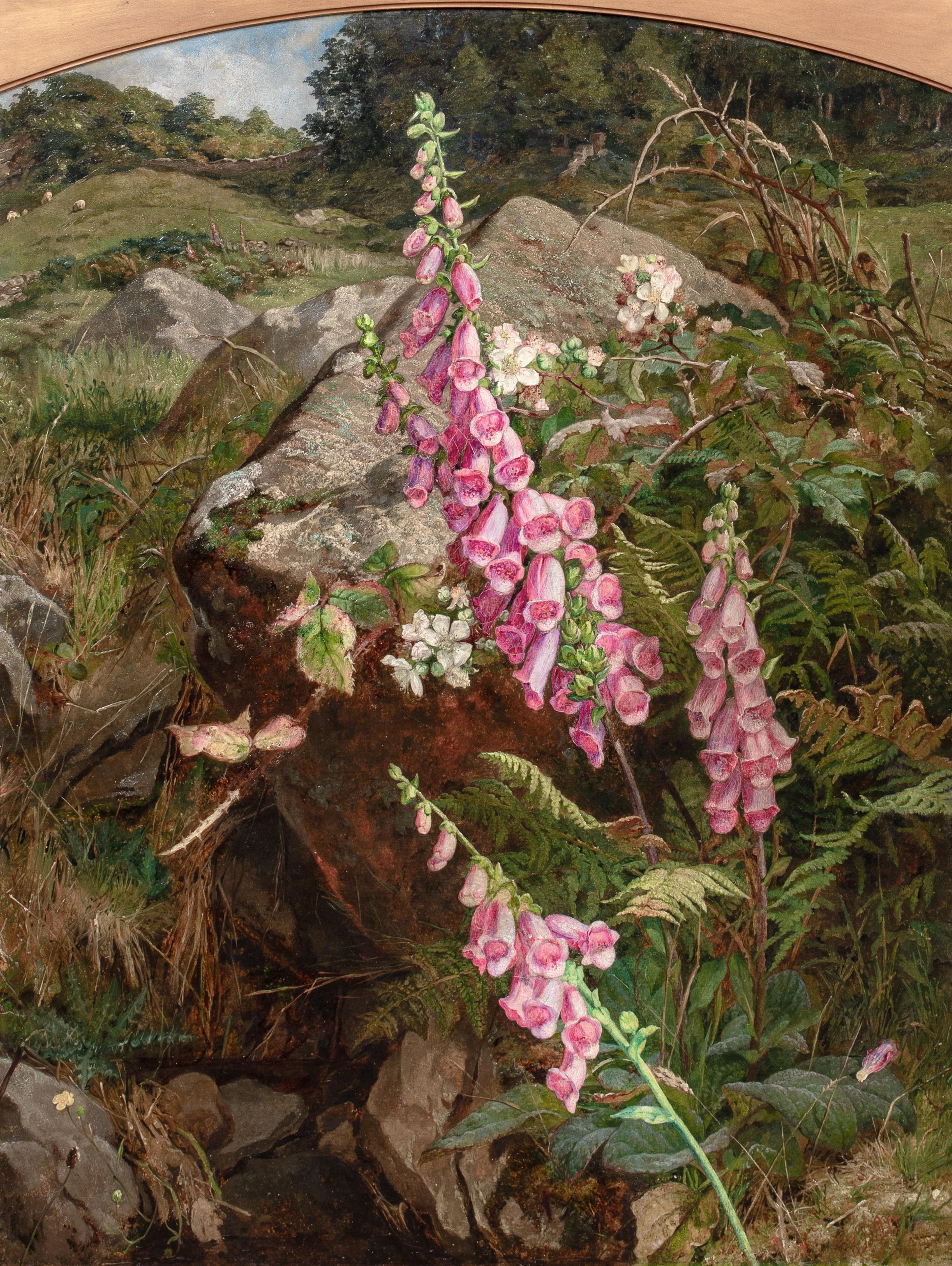 Nature morte à la digitale et aux fougères 19e siècle par MARTHA DARLEY MUTRIE en vente 1