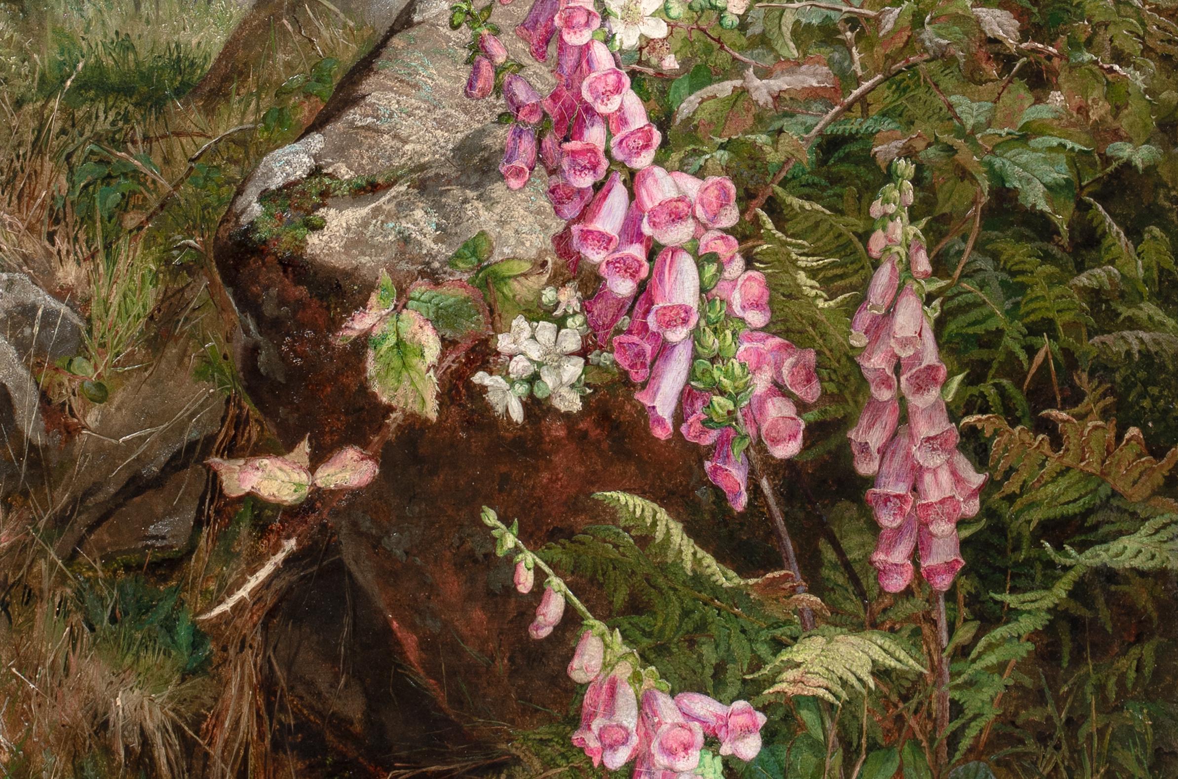 Nature morte à la digitale et aux fougères 19e siècle par MARTHA DARLEY MUTRIE en vente 2