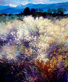 Chamisa in White, Taos