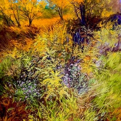 Colors of a Taos Autumn