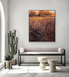 Boschi di cotone all'alba