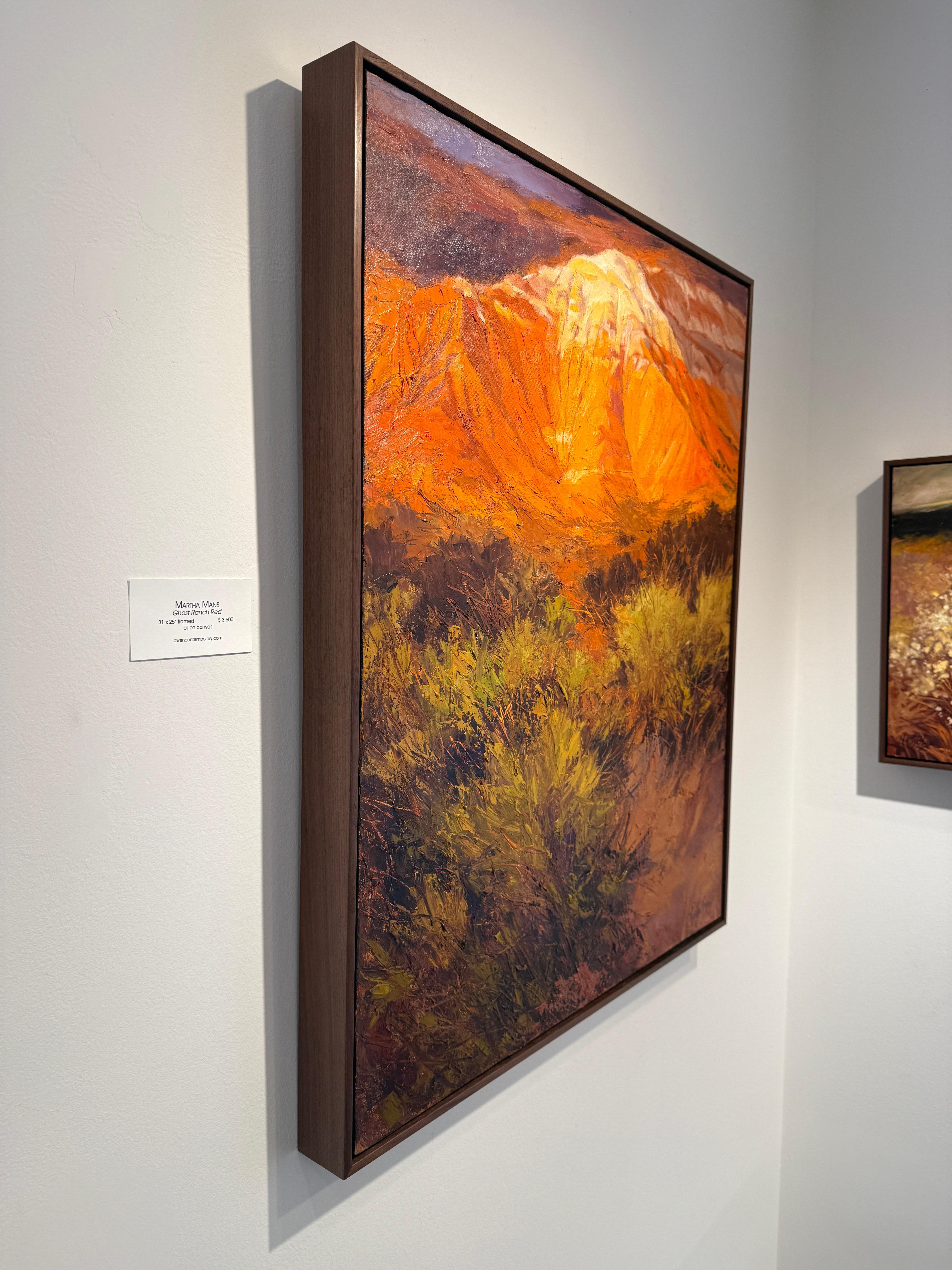 Ghost Ranch Red - Contemporary Painting by Martha Mans
