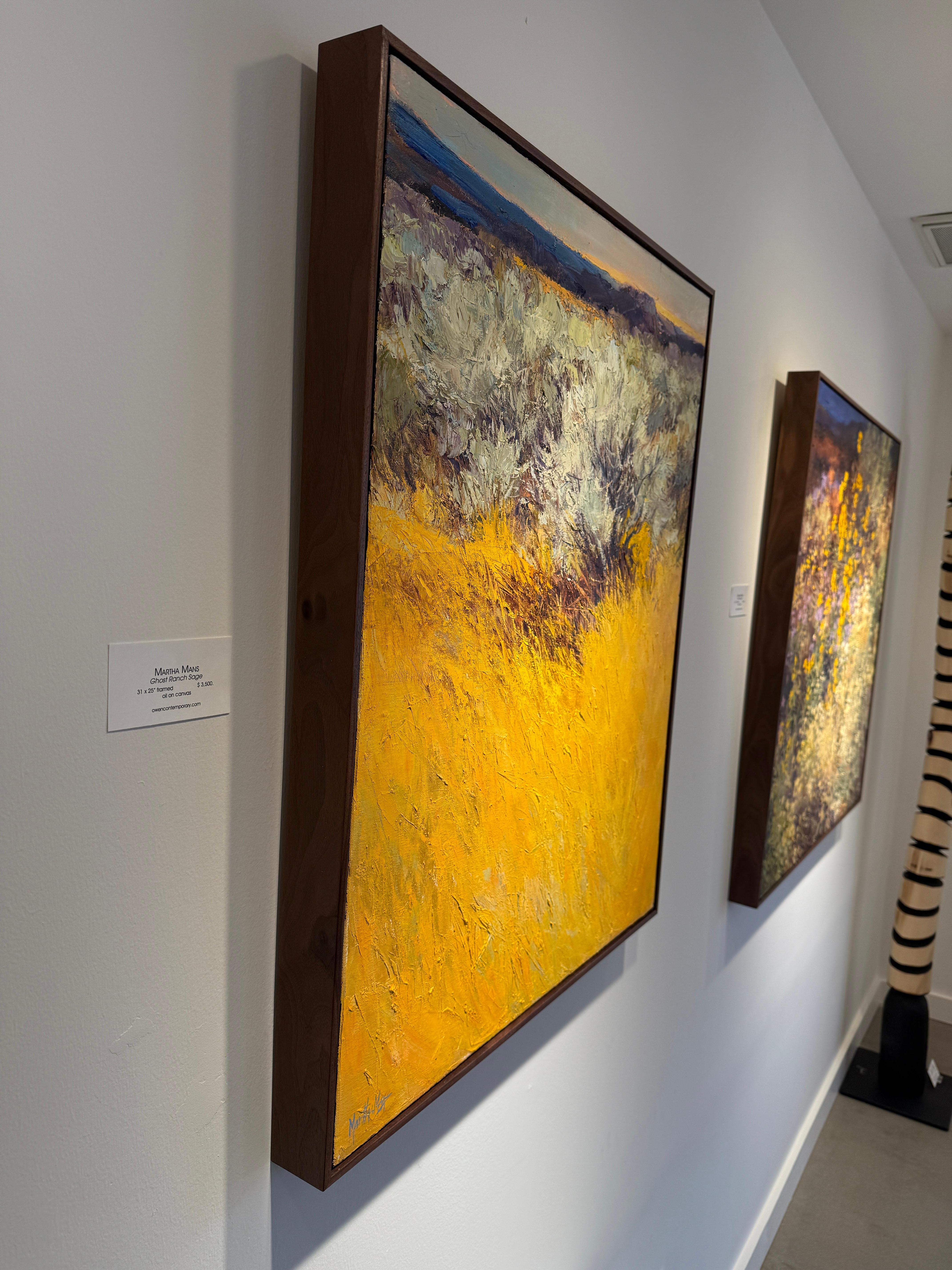 Ghost Ranch Sage - Brown Landscape Painting by Martha Mans