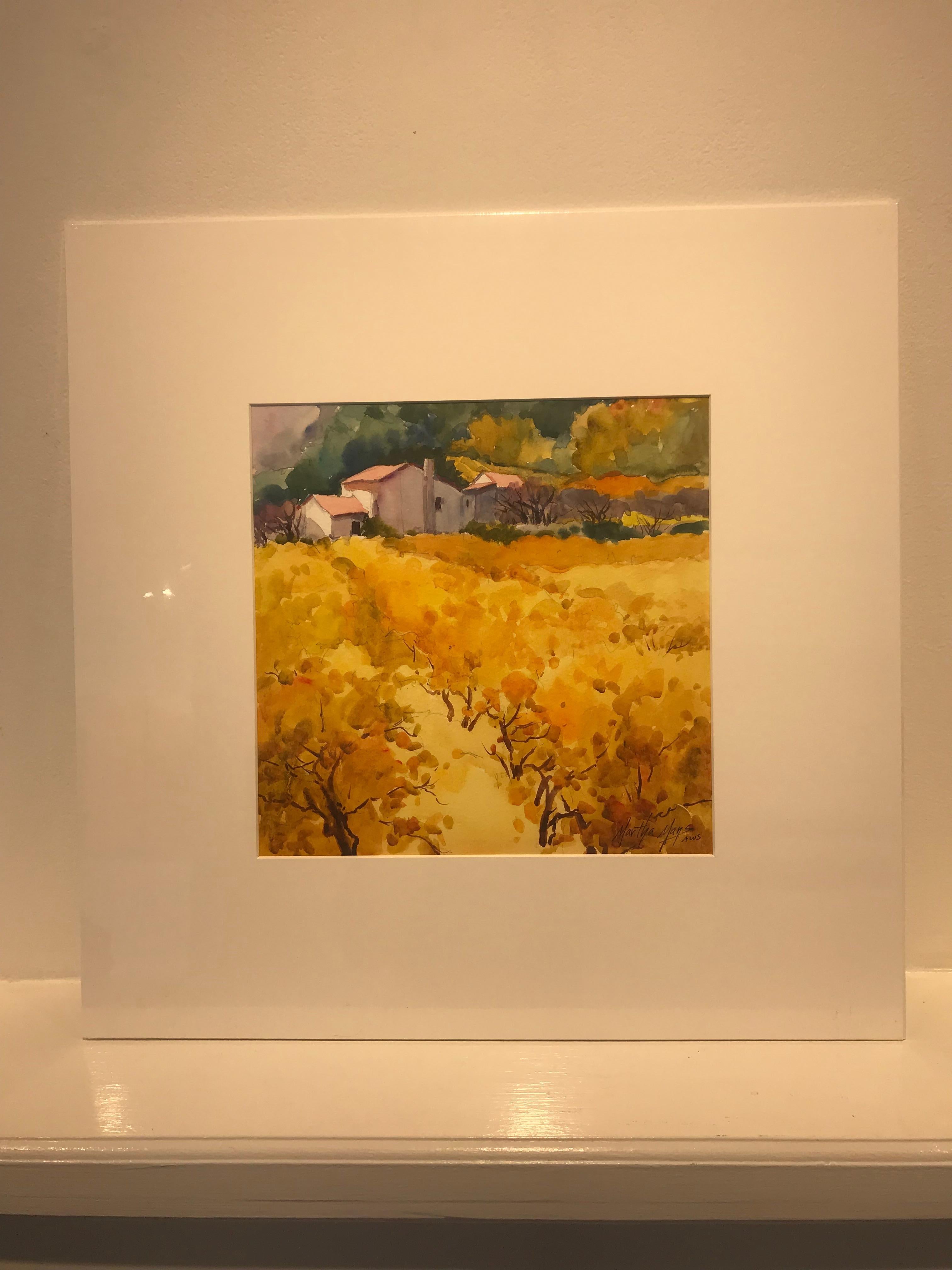 Vigneto Limoux - Painting di Martha Mans