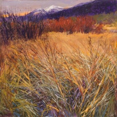 Taos Grasses