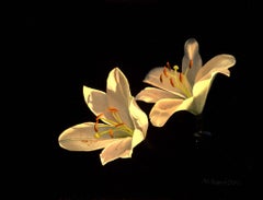 Elisas lilies  original realism oil flower painting