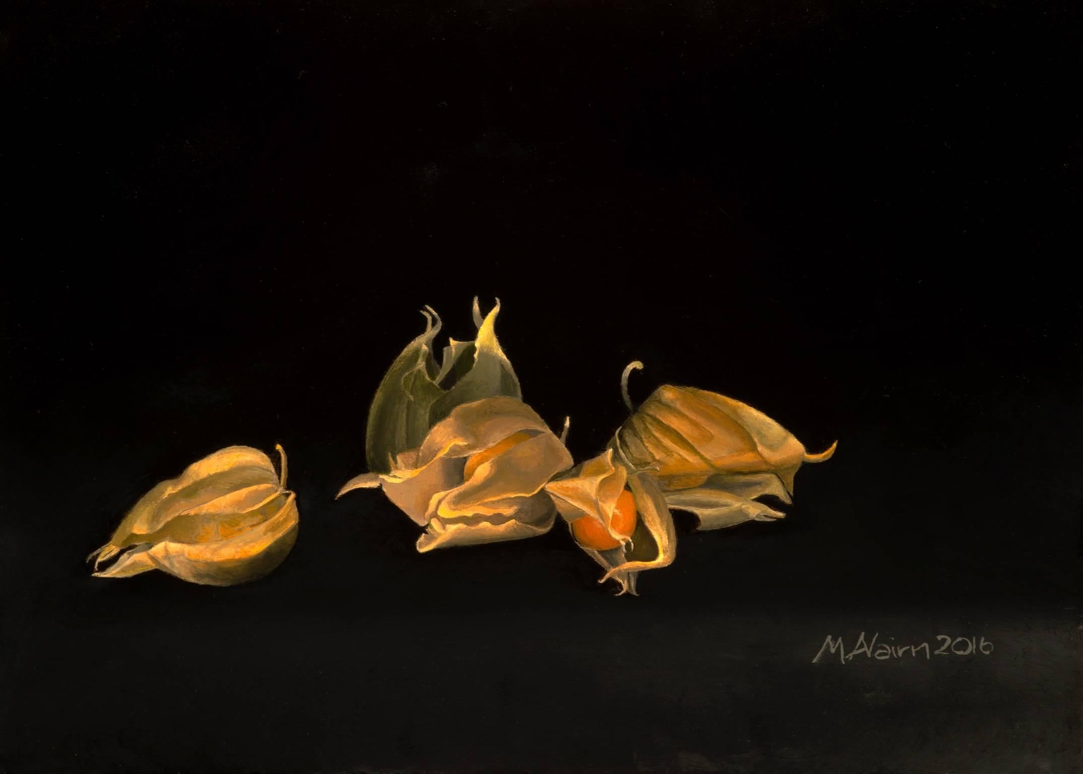 Martha Nairn Still-Life Painting - Physalis - original oil painting realist flower still life realism art