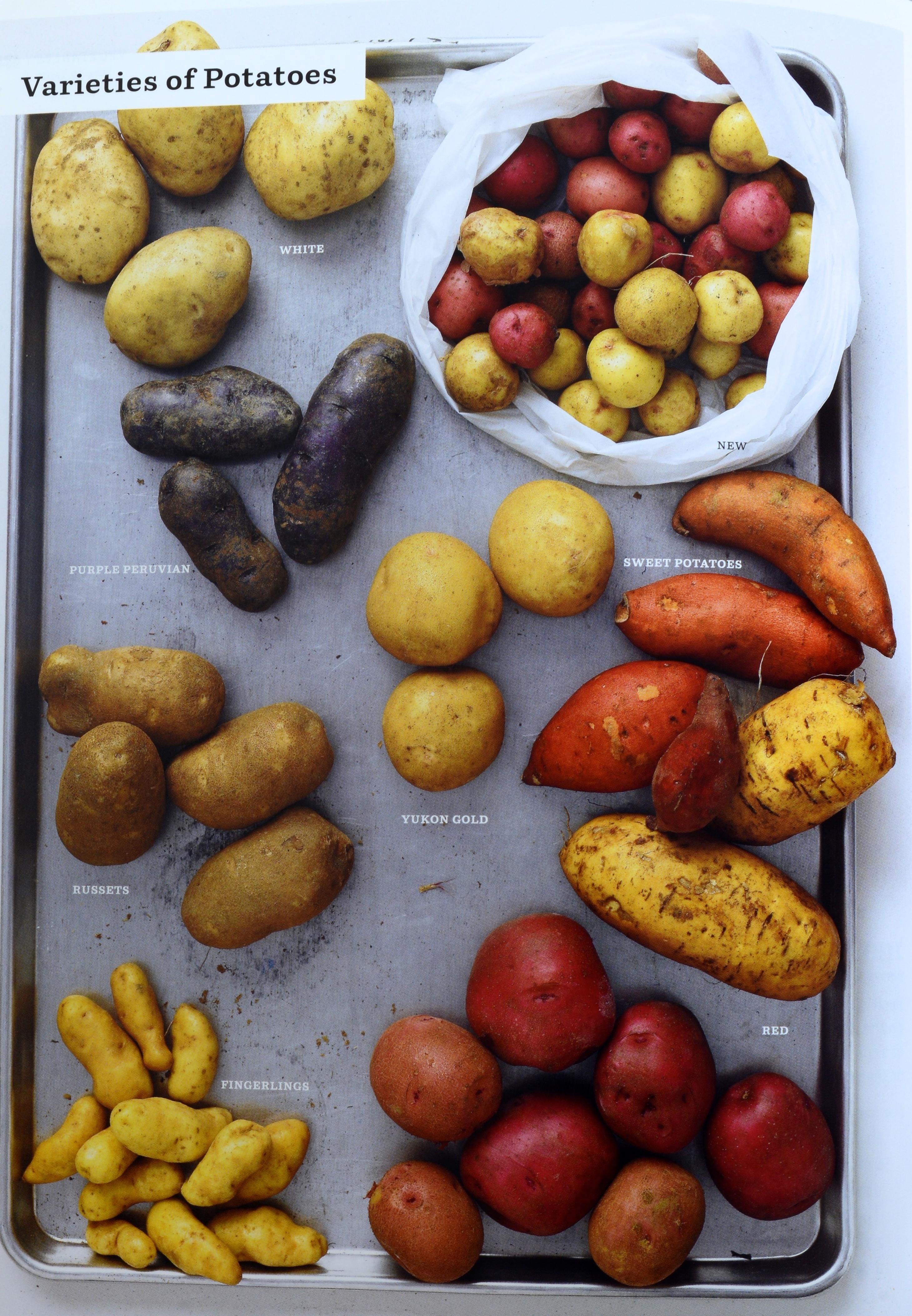 La scuola di cucina di Martha Stewart: Lezioni e ricette per il cuoco di casa: Un libro di cucina in vendita 6