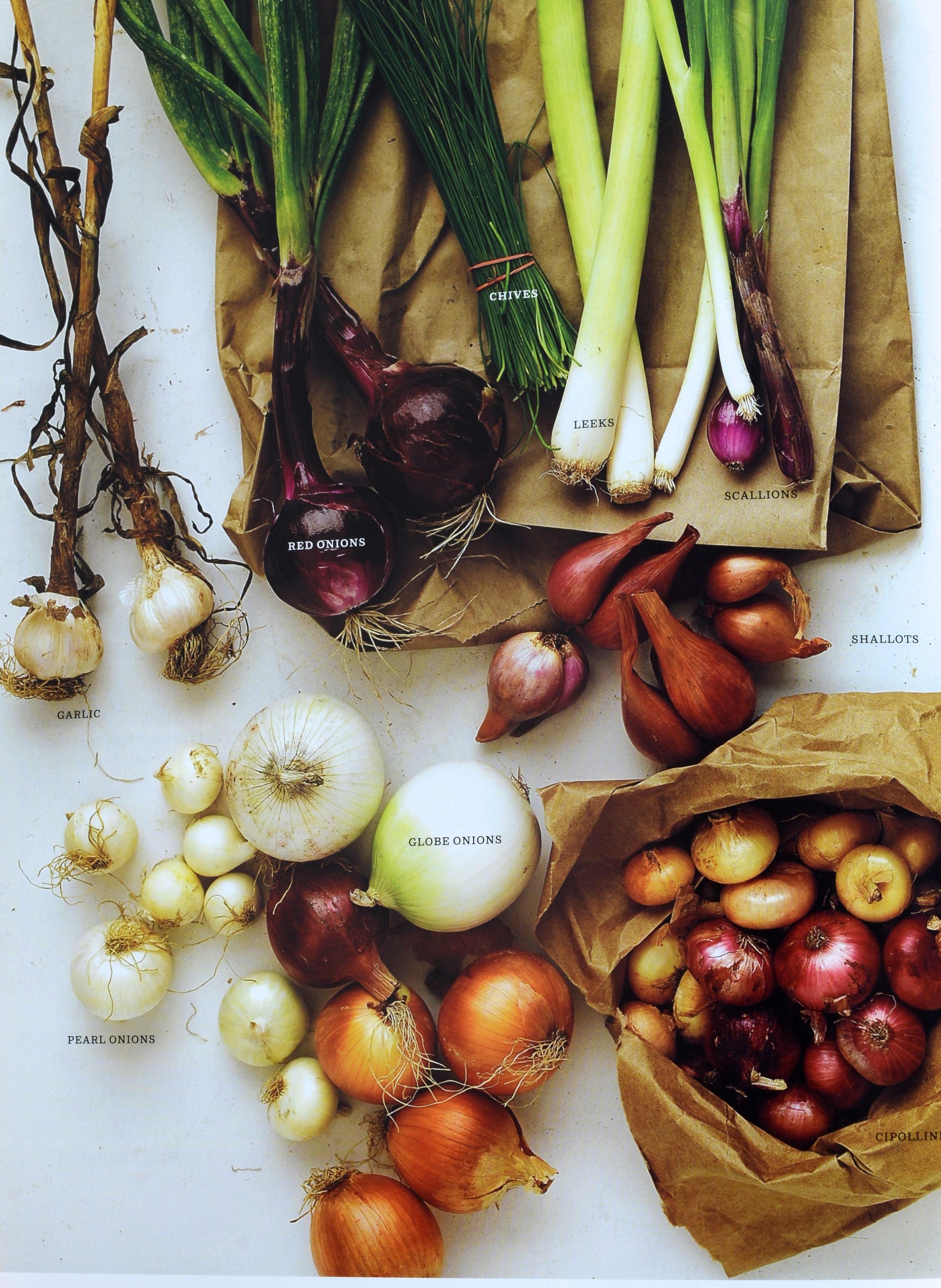 La scuola di cucina di Martha Stewart: Lezioni e ricette per il cuoco di casa: Un libro di cucina In condizioni ottime in vendita a valatie, NY