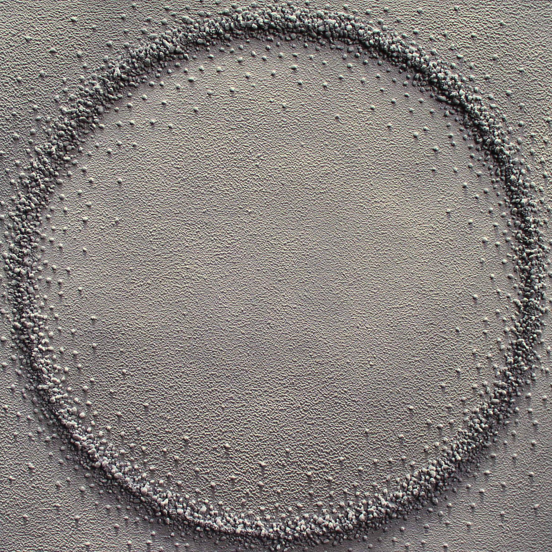 Martha Winter Abstract Painting - "Warm Earth Ring". Contemporary Mixed Media Painting