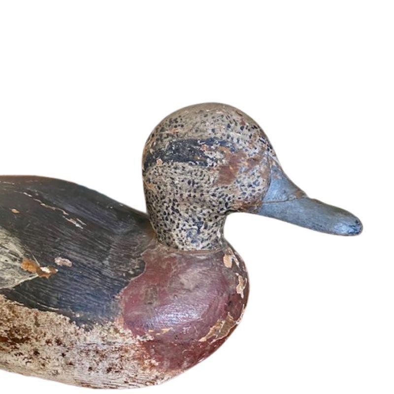 Antiguo señuelo de caza de Martha's Vineyard, hacia 1900, un señuelo de caza tallado y pintado a mano por un fabricante desconocido de Martha's Vineyard de una paloma americana en colorida pintura original. Este señuelo salió de la colección